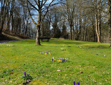 Eine grüne Wiese, parkähnliche Anlage