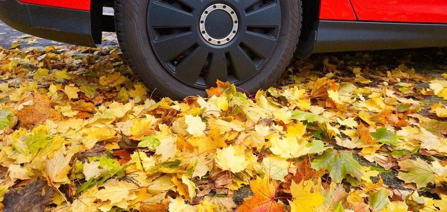 Bunte Blätter auf der Straße und ein rotes Auto
