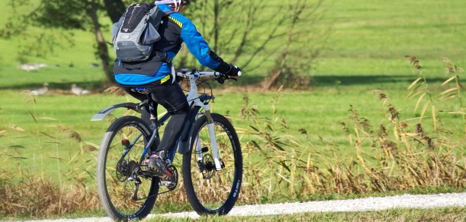 Fahrradfahrer unterwegs im Grünen 