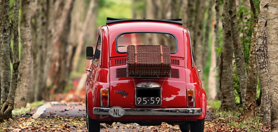 Eine Baumallee, in der Mitte ein kleines rotes Auto 