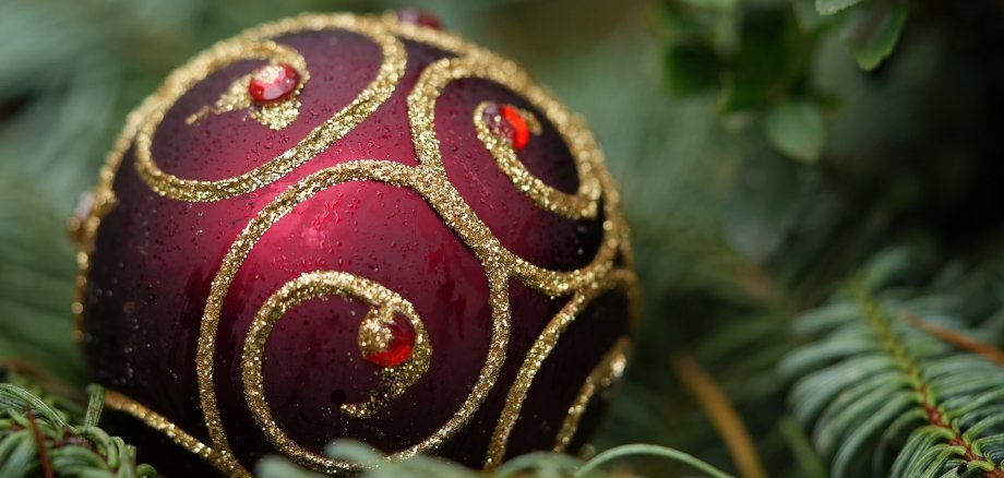 Weihnachtskugel auf Tannenzweigen