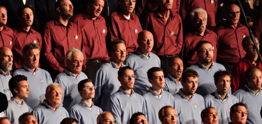 Chorsänger