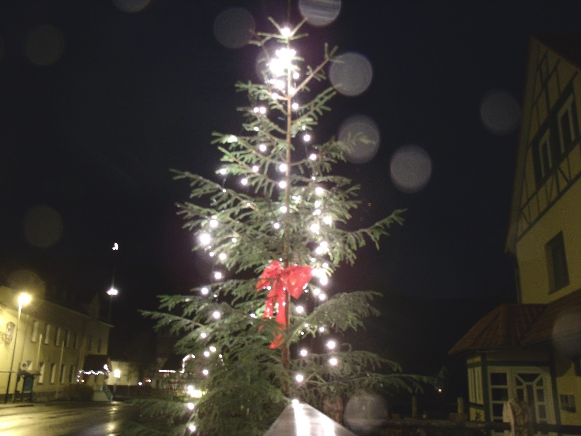 Beleuchteter Weihnachtsbaum 