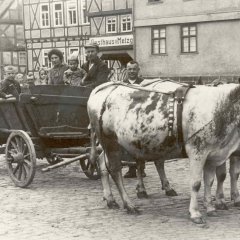 Eine Familie auf dem Wagen gespannt sind zwei Kühe